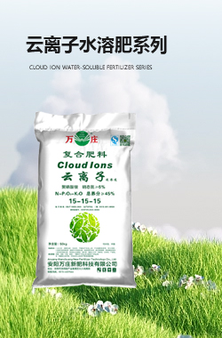 云离子欧美午夜福利视频肥系列