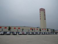 今天的午夜理论片