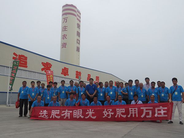 今天的午夜理论片