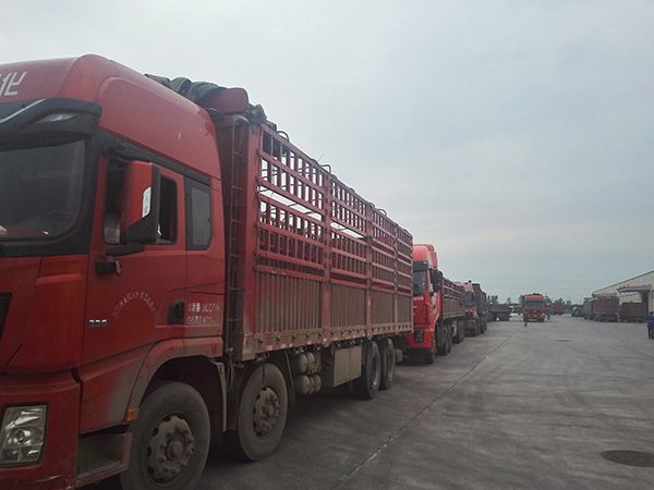 今天的午夜理论片